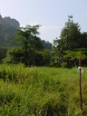 img/garden/2006/20031109155107.dsc04021.jpg