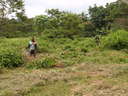 img/garden/2006/20051109083037.pb092853.jpg