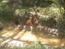 img/garden/2006/20061018144012.pa184027.jpg