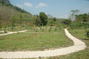 img/garden/2007/20070203111021.dsc_0179.jpg