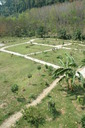 img/garden/2007/20070203112215.dsc_0194.jpg