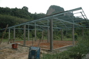 img/garden/2008/20081007175655.dsc_5233.jpg