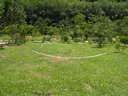 img/garden/2009/20090423130221.p4237086.jpg