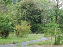 img/garden/2010/20100113123439.p1139663.jpg