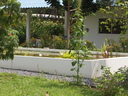 img/garden/2010/20100113123702.p1139665.jpg