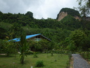 img/garden/2011/spicy_garden.jpg