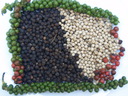 img/plants/piperaceae/peppercorns.jpg