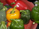 img/plants/solanaceae/capsicum_annuum_2.jpg